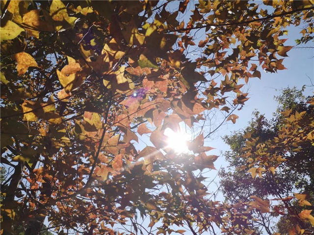 廣東博皓&ldquo;博行天下戶外俱樂部&rdquo;從化古溪線徒步之旅-7