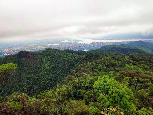 廣東博皓2020開年第一爬&mdash;&mdash;鼎湖山   -4