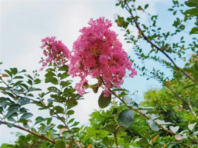 呼吸鮮氧，踐行公益&mdash;&mdash;廣東博皓公益活動：星溪線公益環保活動   -5