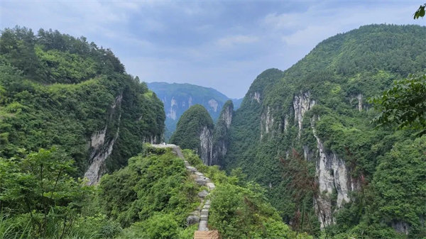 “湘”約鳳凰,相守未來——2022博皓快樂湖南行 -20