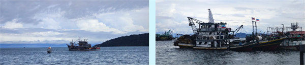 廿載風(fēng)云一路行，馬來風(fēng)情共見證&mdash;&mdash;2024廣東博皓馬來西亞之旅   -7