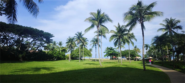 廿載風(fēng)云一路行，馬來風(fēng)情共見證&mdash;&mdash;2024廣東博皓馬來西亞之旅   -25